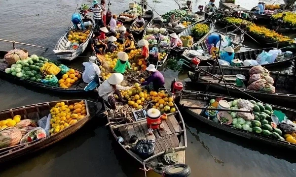 6 điểm trải nghiệm miệt vườn, sông nước miền Tây